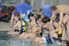 schnuppertauchen 2012_01_06_58